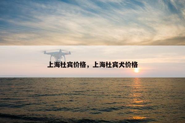 上海杜宾价格，上海杜宾犬价格