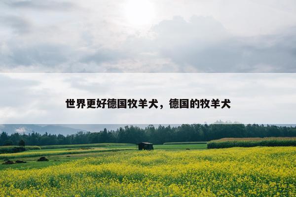 世界更好德国牧羊犬，德国的牧羊犬