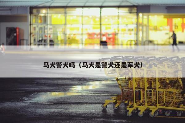 马犬警犬吗（马犬是警犬还是军犬）