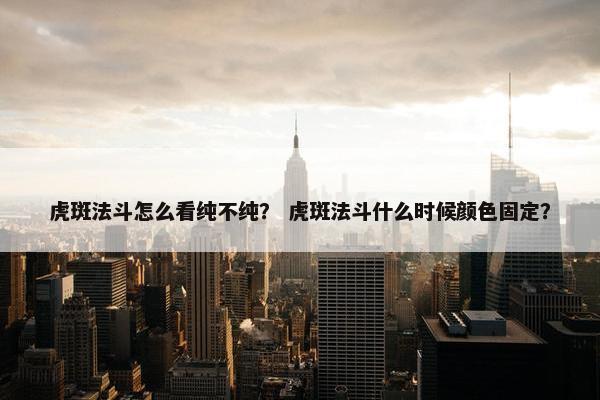 虎斑法斗怎么看纯不纯？ 虎斑法斗什么时候颜色固定？