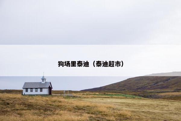 狗场里泰迪（泰迪超市）