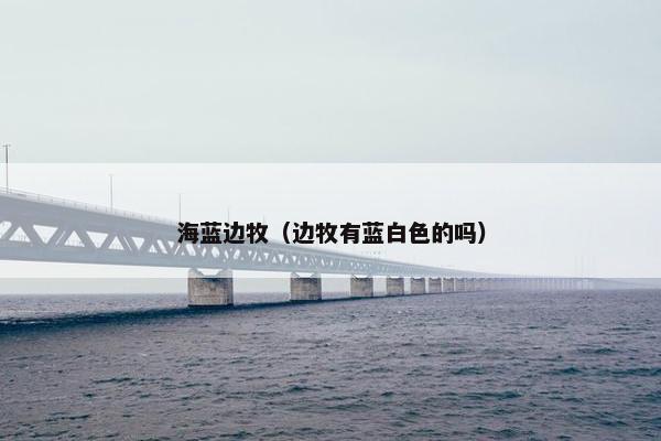 海蓝边牧（边牧有蓝白色的吗）