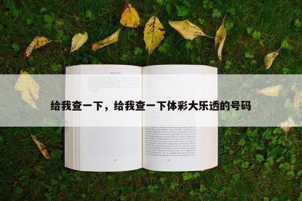 给我查一下，给我查一下体彩大乐透的号码