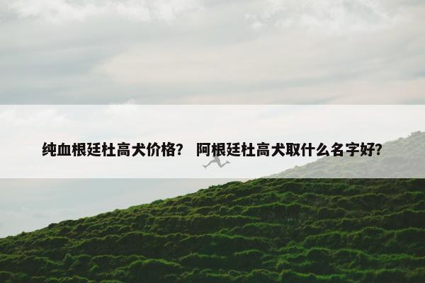 纯血根廷杜高犬价格？ 阿根廷杜高犬取什么名字好？