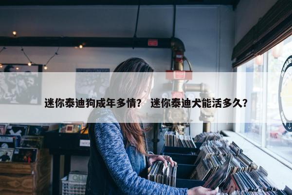 迷你泰迪狗成年多情？ 迷你泰迪犬能活多久？