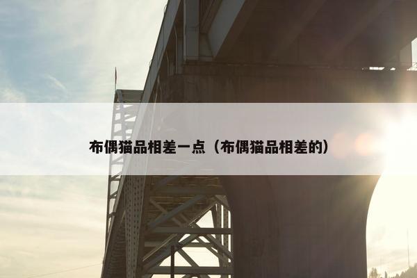 布偶猫品相差一点（布偶猫品相差的）