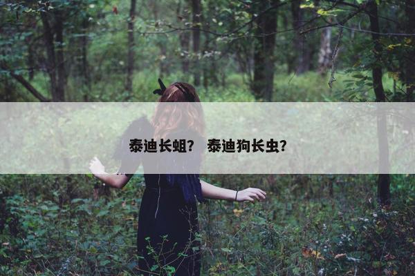 泰迪长蛆？ 泰迪狗长虫？