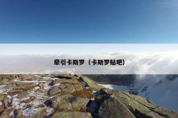 牵引卡斯罗（卡斯罗贴吧）