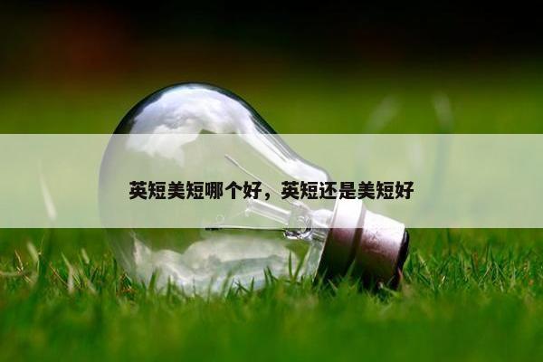 英短美短哪个好，英短还是美短好