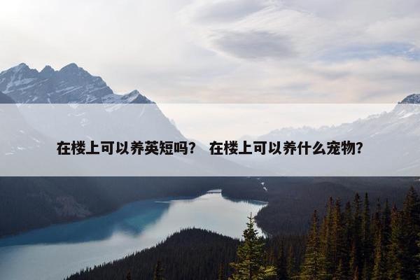 在楼上可以养英短吗？ 在楼上可以养什么宠物？