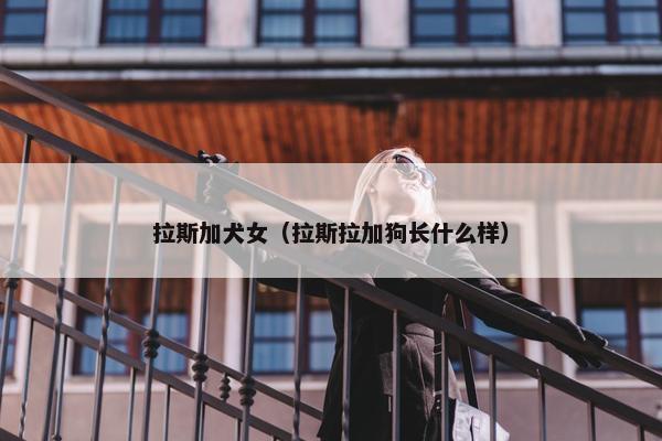 拉斯加犬女（拉斯拉加狗长什么样）