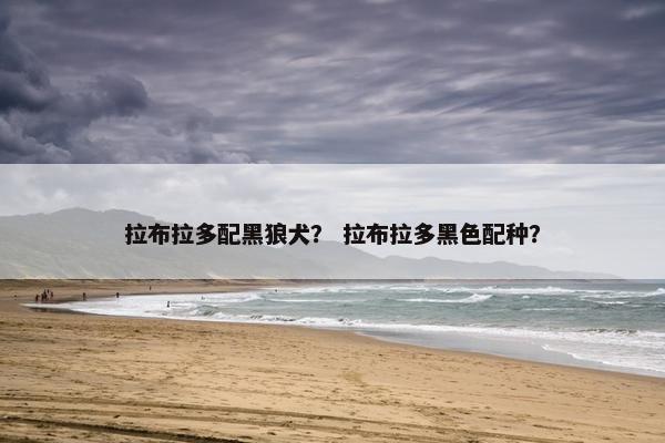 拉布拉多配黑狼犬？ 拉布拉多黑色配种？
