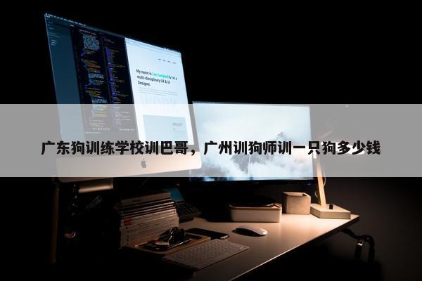广东狗训练学校训巴哥，广州训狗师训一只狗多少钱