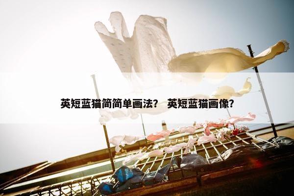 英短蓝猫简简单画法？ 英短蓝猫画像？