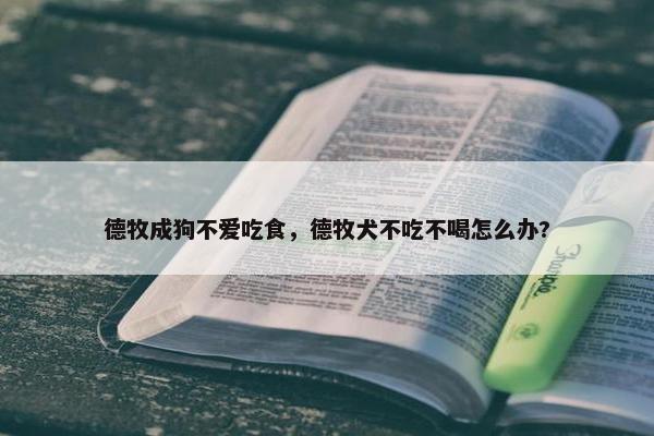 德牧成狗不爱吃食，德牧犬不吃不喝怎么办?