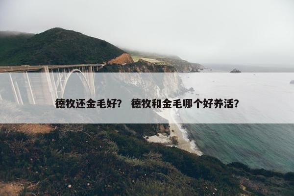 德牧还金毛好？ 德牧和金毛哪个好养活？