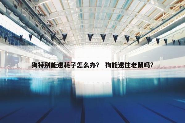 狗特别能逮耗子怎么办？ 狗能逮住老鼠吗？