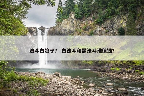 法斗白娘子？ 白法斗和黑法斗谁值钱？