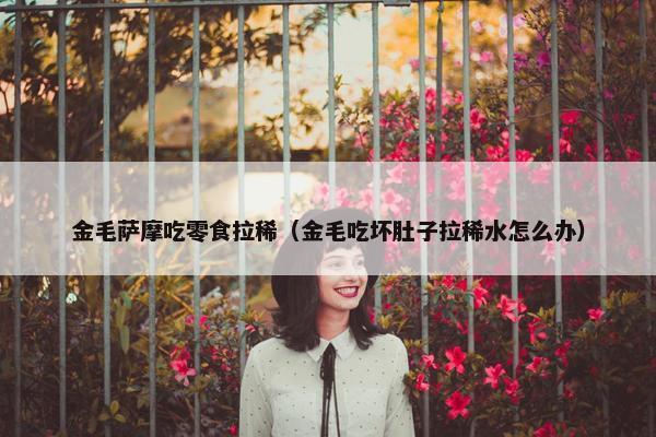 金毛萨摩吃零食拉稀（金毛吃坏肚子拉稀水怎么办）