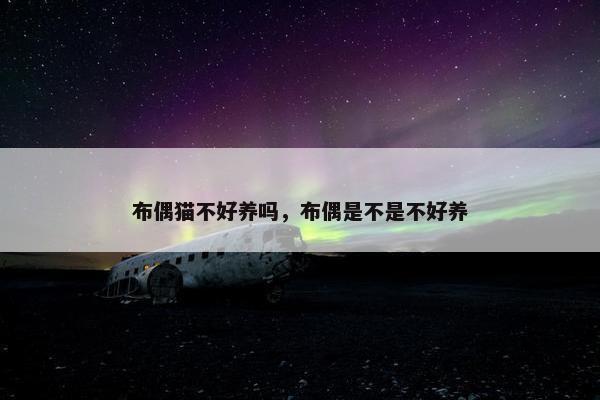 布偶猫不好养吗，布偶是不是不好养
