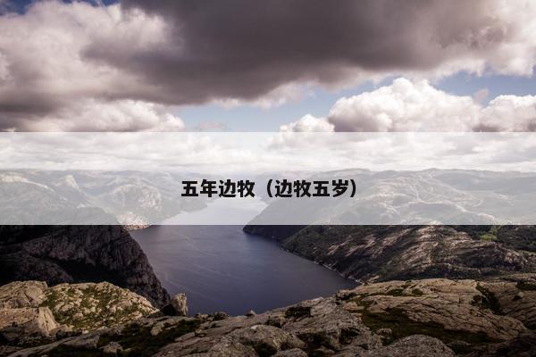 五年边牧（边牧五岁）