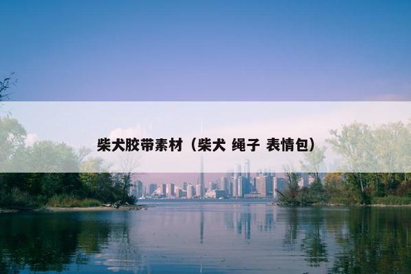 柴犬胶带素材（柴犬 绳子 表情包）