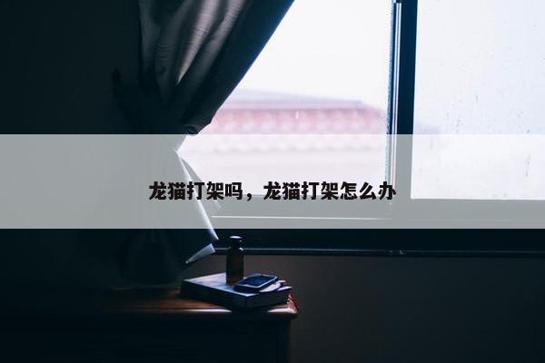 龙猫打架吗，龙猫打架怎么办