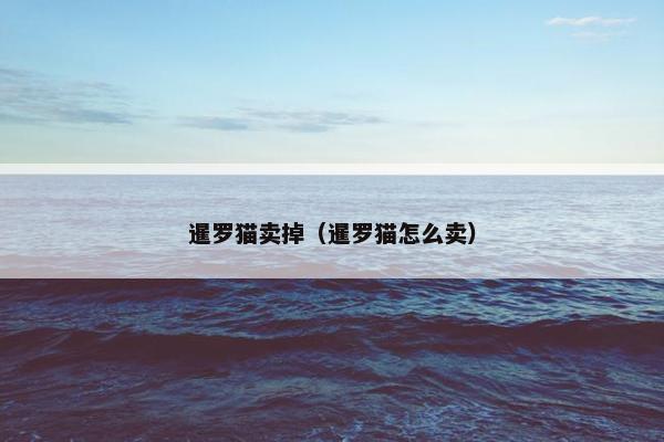 暹罗猫卖掉（暹罗猫怎么卖）