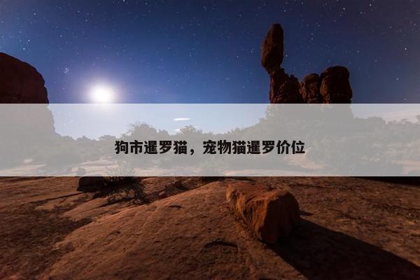 狗市暹罗猫，宠物猫暹罗价位