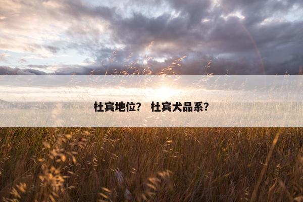 杜宾地位？ 杜宾犬品系？