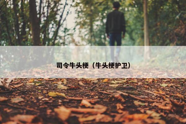 司令牛头梗（牛头梗护卫）