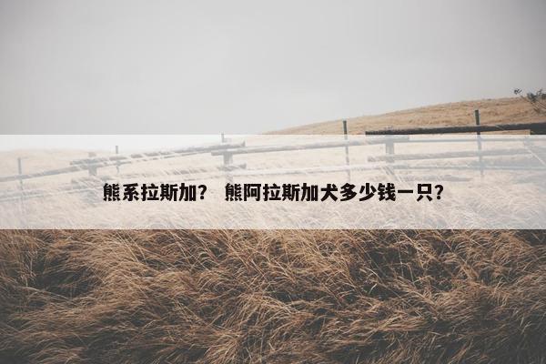 熊系拉斯加？ 熊阿拉斯加犬多少钱一只？