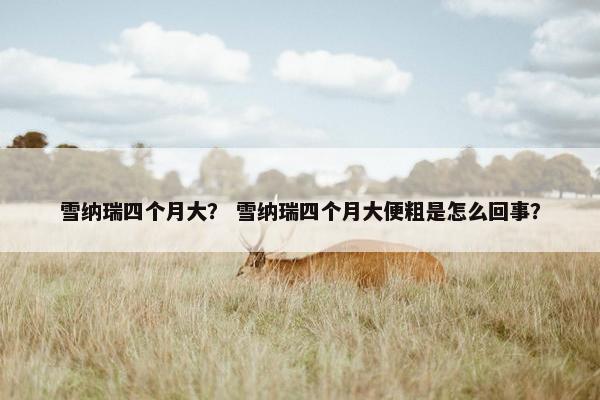 雪纳瑞四个月大？ 雪纳瑞四个月大便粗是怎么回事？