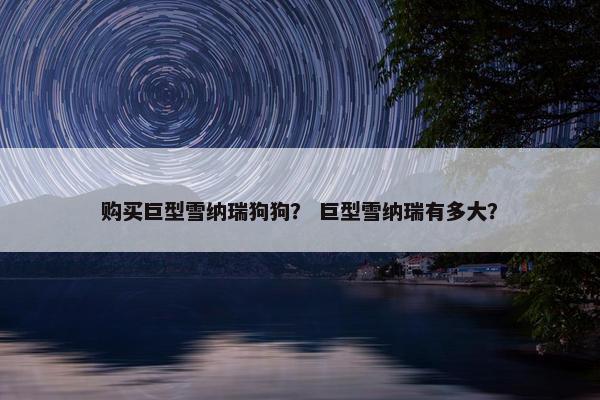 购买巨型雪纳瑞狗狗？ 巨型雪纳瑞有多大？