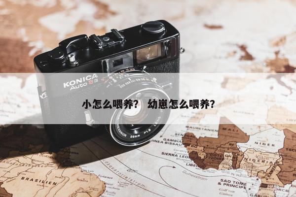 小怎么喂养？ 幼崽怎么喂养？
