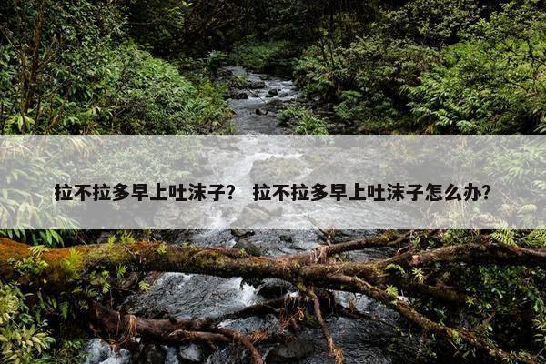 拉不拉多早上吐沫子？ 拉不拉多早上吐沫子怎么办？