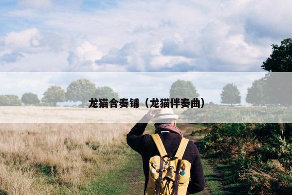 龙猫合奏铺（龙猫伴奏曲）
