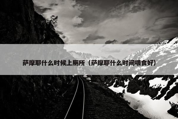 萨摩耶什么时候上厕所（萨摩耶什么时间喂食好）