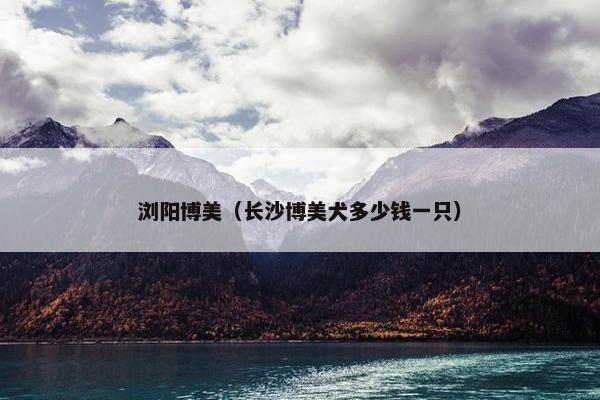 浏阳博美（长沙博美犬多少钱一只）