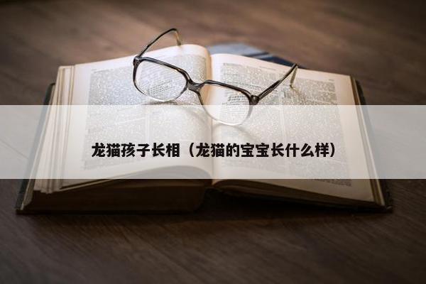 龙猫孩子长相（龙猫的宝宝长什么样）