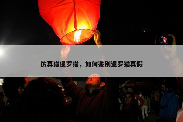 仿真猫暹罗猫，如何鉴别暹罗猫真假