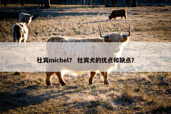 杜宾michel？ 杜宾犬的优点和缺点？