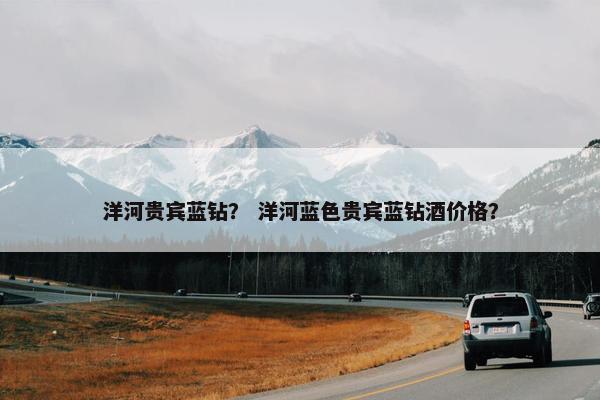 洋河贵宾蓝钻？ 洋河蓝色贵宾蓝钻酒价格？