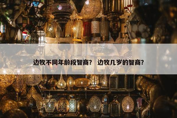 边牧不同年龄段智商？ 边牧几岁的智商？