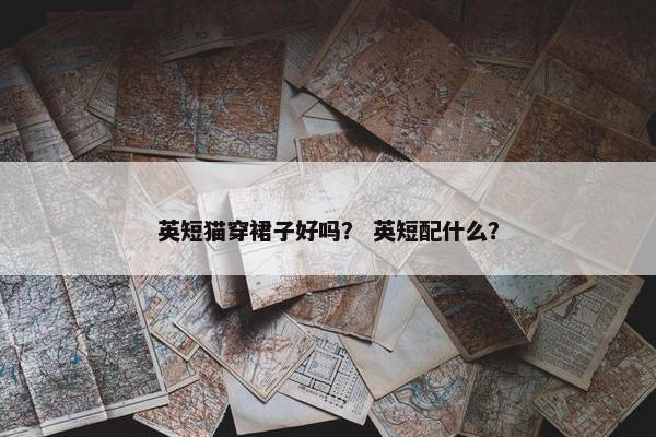 英短猫穿裙子好吗？ 英短配什么？