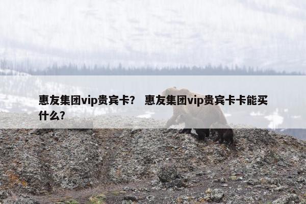 惠友集团vip贵宾卡？ 惠友集团vip贵宾卡卡能买什么？