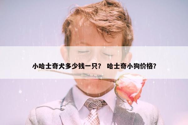 小哈士奇犬多少钱一只？ 哈士奇小狗价格？
