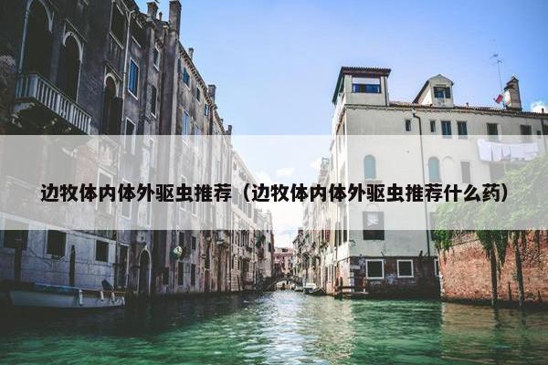 边牧体内体外驱虫推荐（边牧体内体外驱虫推荐什么药）