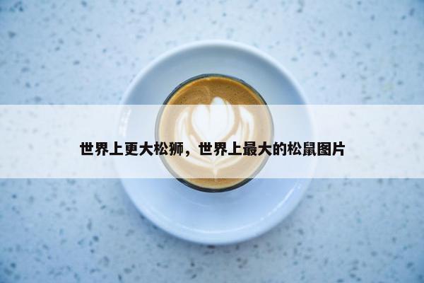世界上更大松狮，世界上最大的松鼠图片