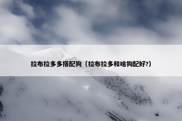 拉布拉多多搭配狗（拉布拉多和啥狗配好?）
